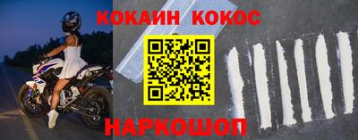 индика Новодвинск