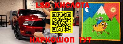 тгк Новозыбков