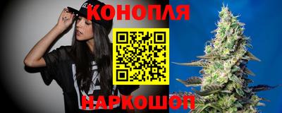 индика Новодвинск