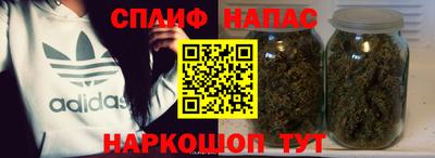 индика Новодвинск