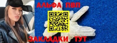 индика Новодвинск